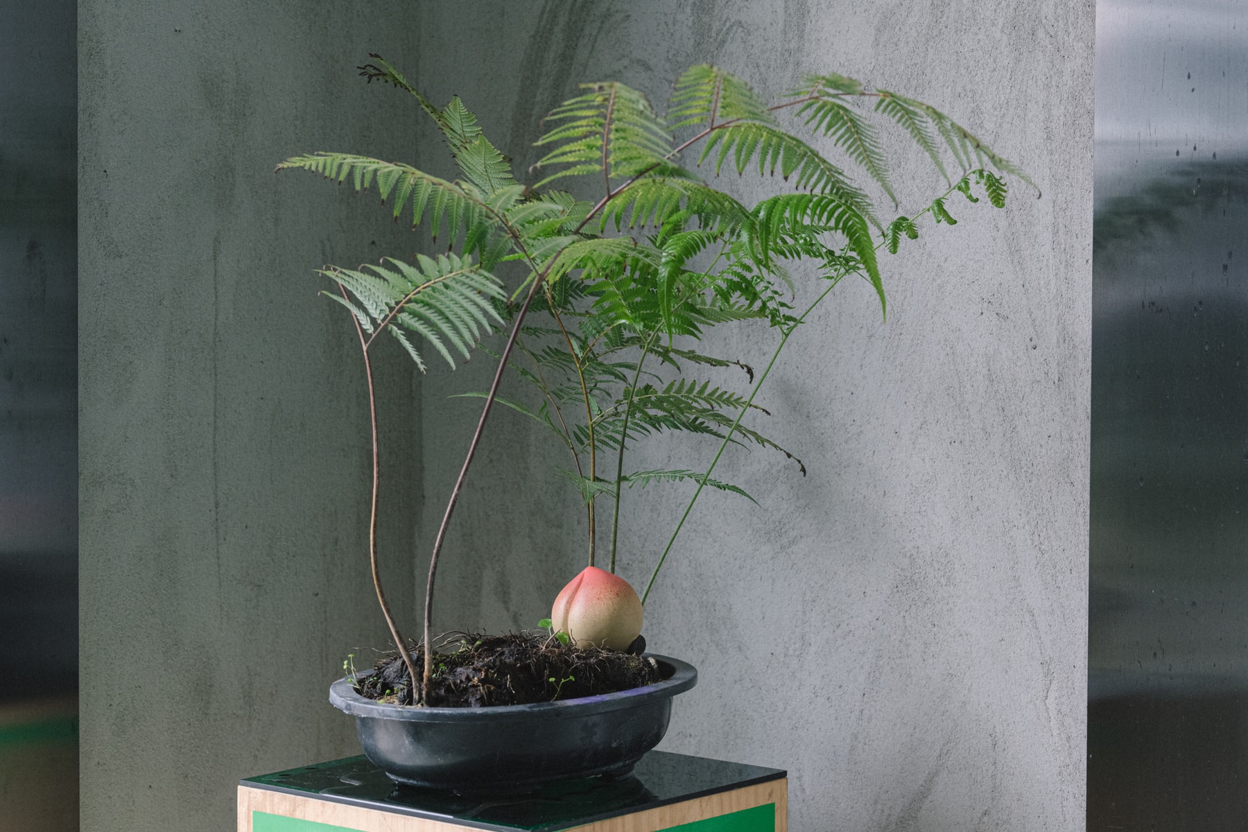 Studio Visits:林子楠 zinan lam