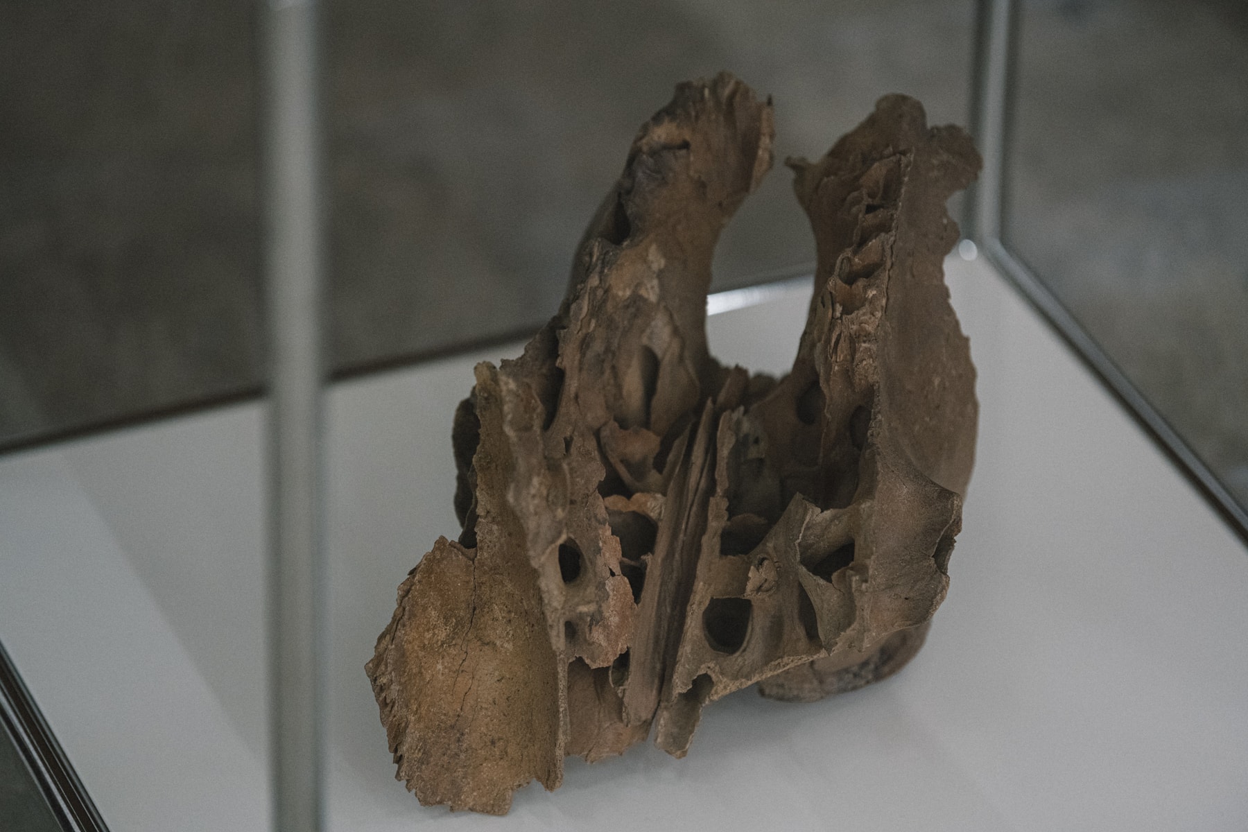 Studio Visits:毛冠帥