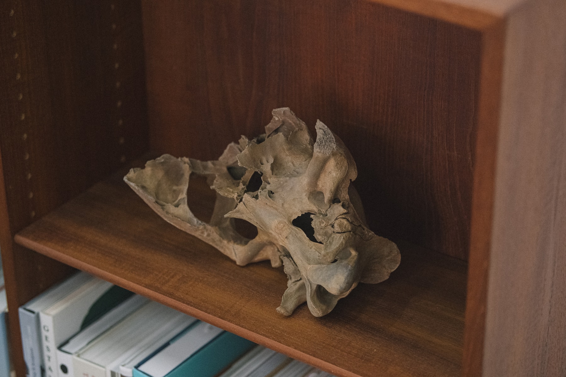 Studio Visits:毛冠帥