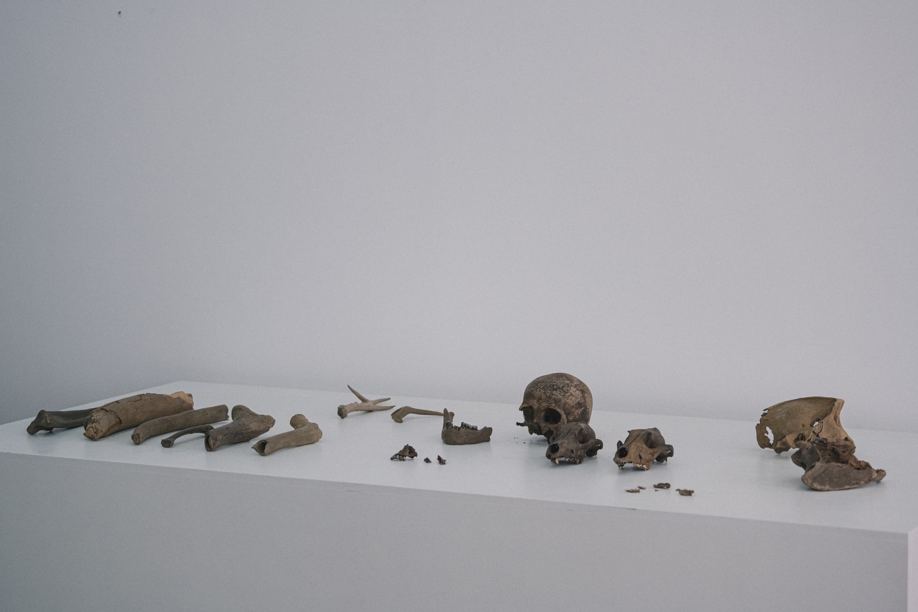 Studio Visits:毛冠帥