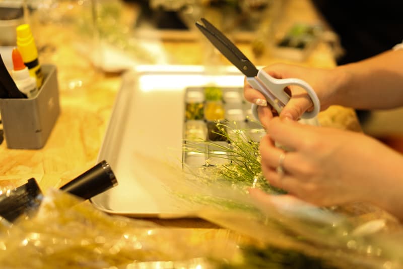 adidas TERREX 户外主题营活动回顾