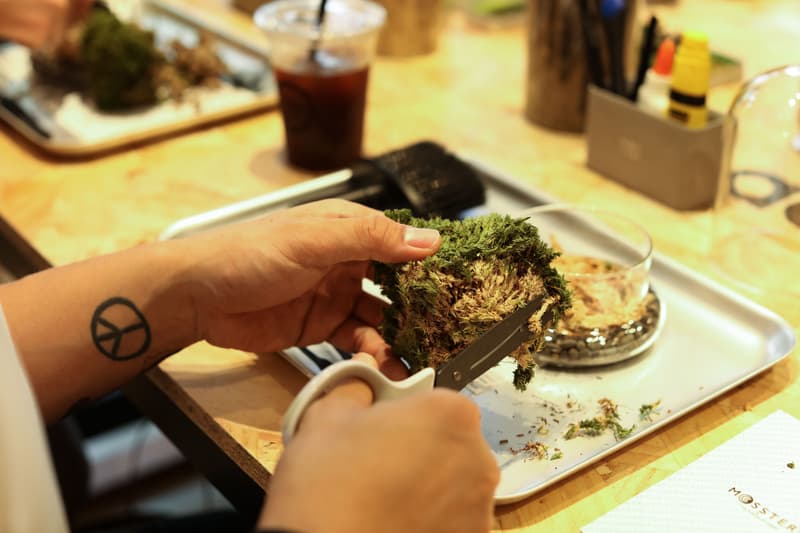 adidas TERREX 户外主题营活动回顾