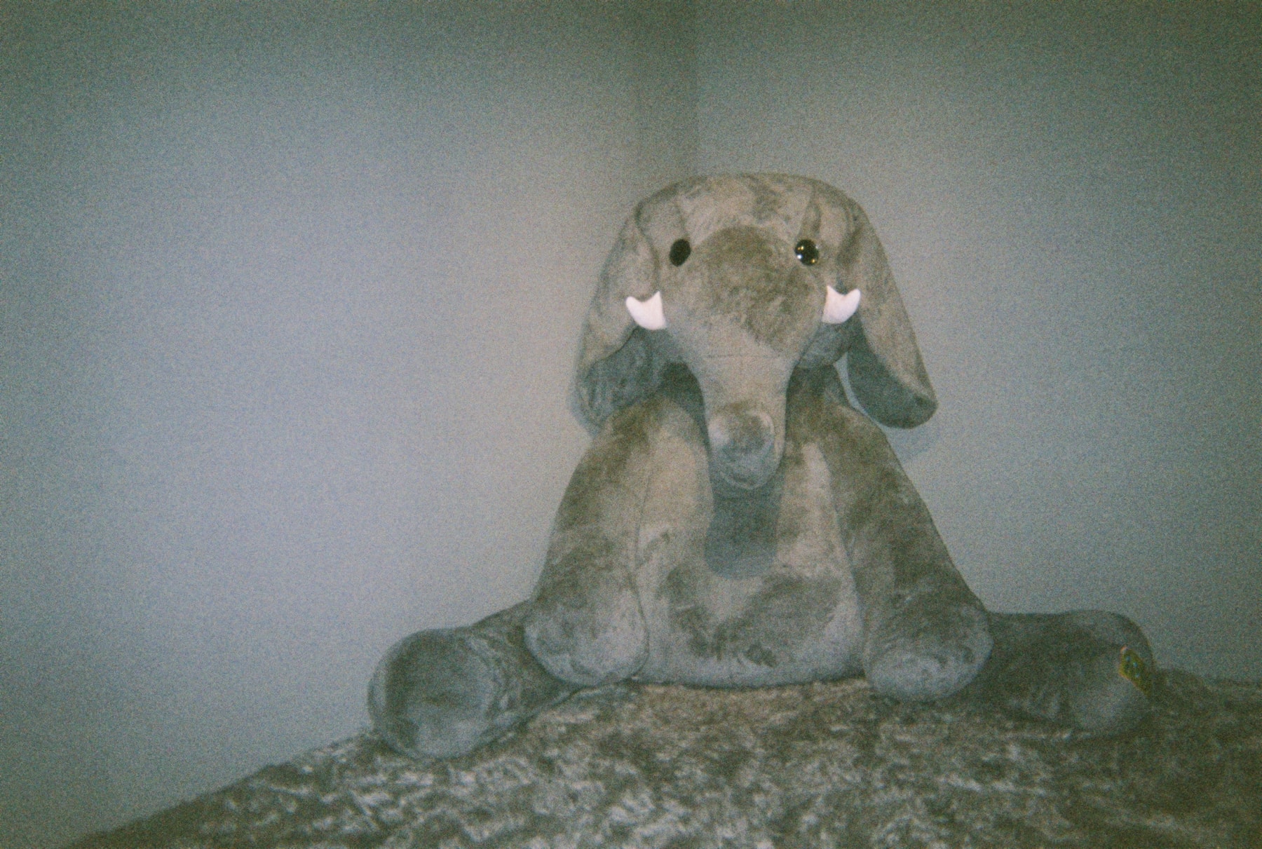 欧阳娜娜:用艺术探索音乐的「立体」表达形式 | Manual Exposure