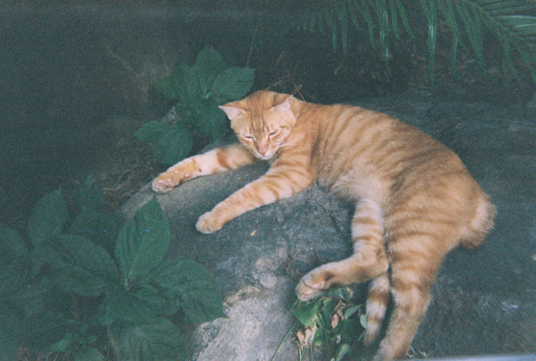 欧阳娜娜:用艺术探索音乐的「立体」表达形式 | Manual Exposure