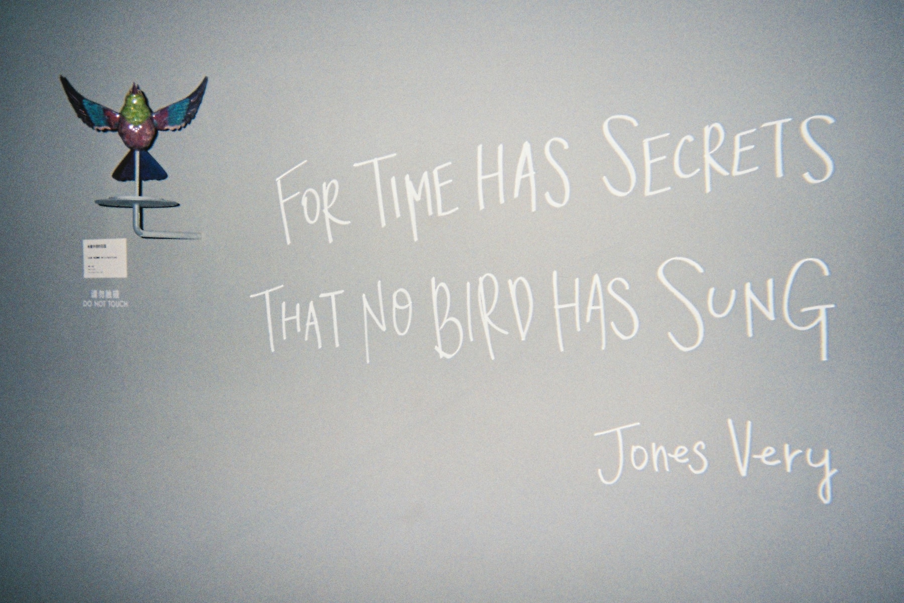 欧阳娜娜:用艺术探索音乐的「立体」表达形式 | Manual Exposure