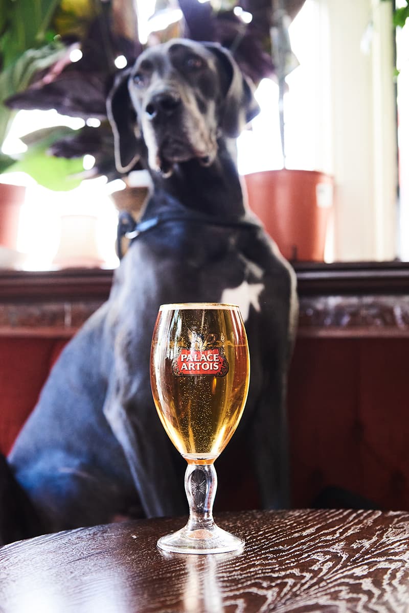 走进纽约与伦敦「Palace Artois」限定主题酒吧