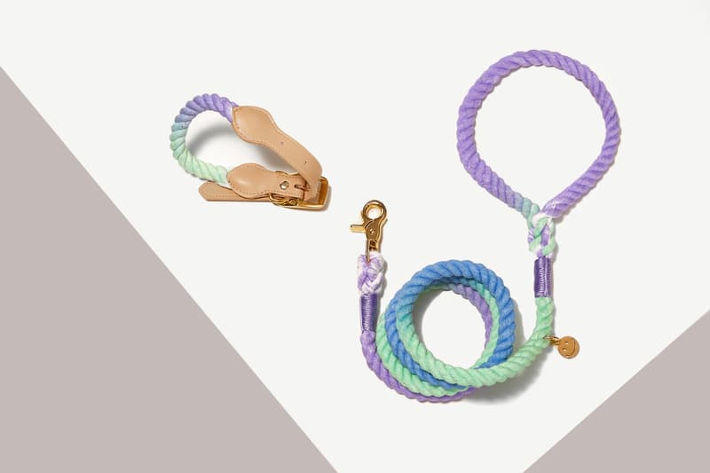 Maogoublue 推出全新「Color Gradient」系列宠物牵引绳
