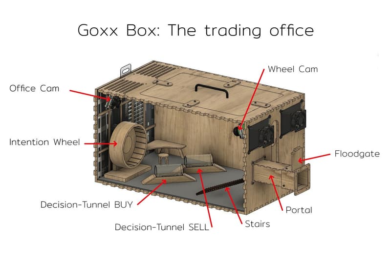 投資表現更勝 Warren Buffet、S&P 500 的幣圈最新話題人物 Mr. Goxx 是何許人也？