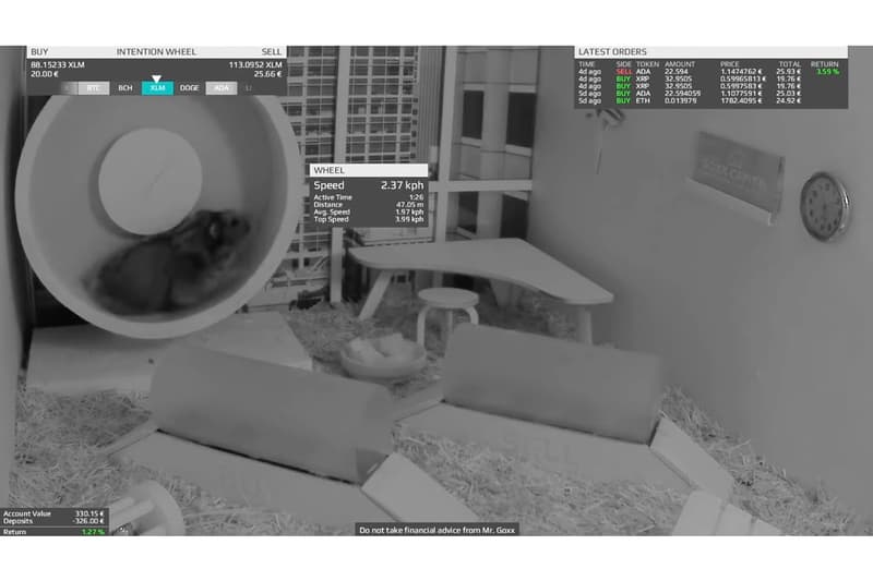 投資表現更勝 Warren Buffet、S&P 500 的幣圈最新話題人物 Mr. Goxx 是何許人也？