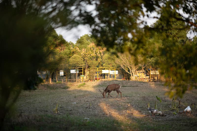 PARAJUMPERS「AUTUMN EXCURSION」户外活动现场回顾