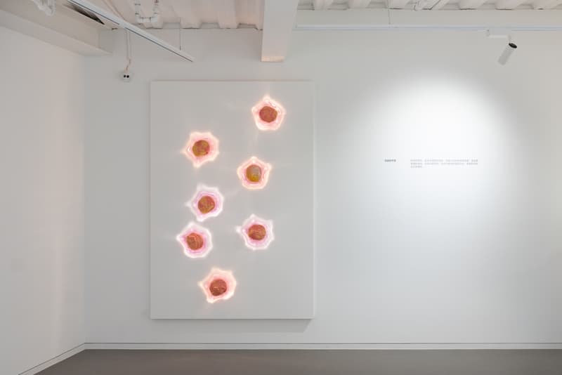 走进全新艺术空间 Gallery All  揭幕展「First of All」