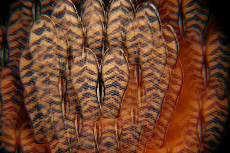 VANS x HUATUNAN 发布「饿虎」联名系列