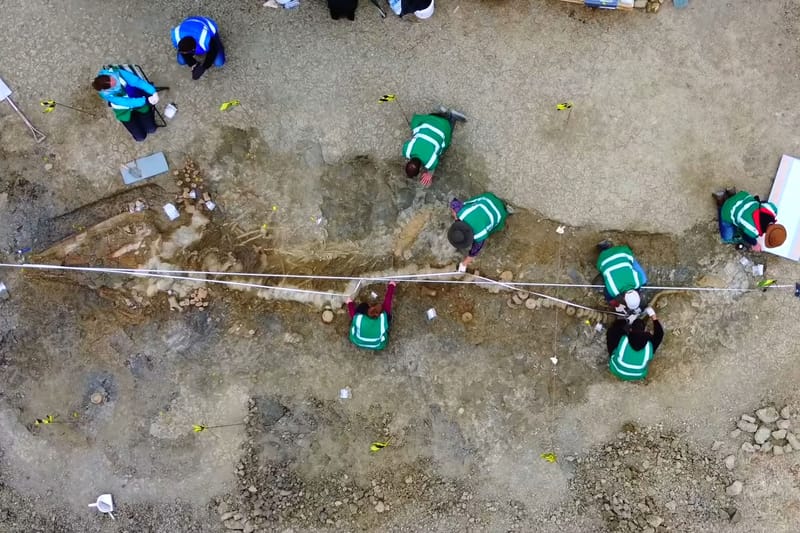 工作人員在英國 Rutland 水庫發現身長 10 公尺「魚龍目 Ichthyosaur」化石