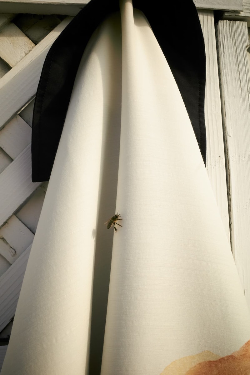 Jil Sander 释出 2022 虎年特别企划