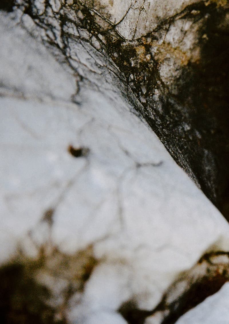 AVENUE & SON 携手艺术家 ZINAN LAM 推出虎年联名胶囊系列