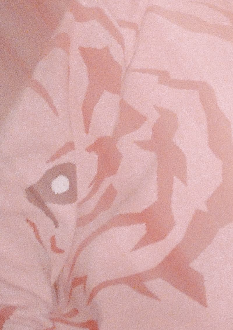 AVENUE & SON 携手艺术家 ZINAN LAM 推出虎年联名胶囊系列