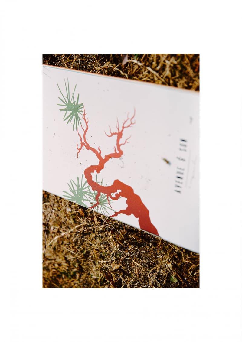 AVENUE & SON 携手艺术家 ZINAN LAM 推出虎年联名胶囊系列