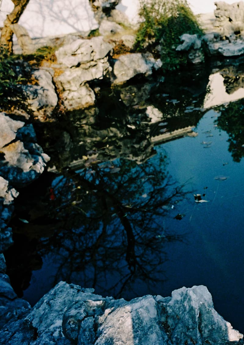 AVENUE & SON 携手艺术家 ZINAN LAM 推出虎年联名胶囊系列