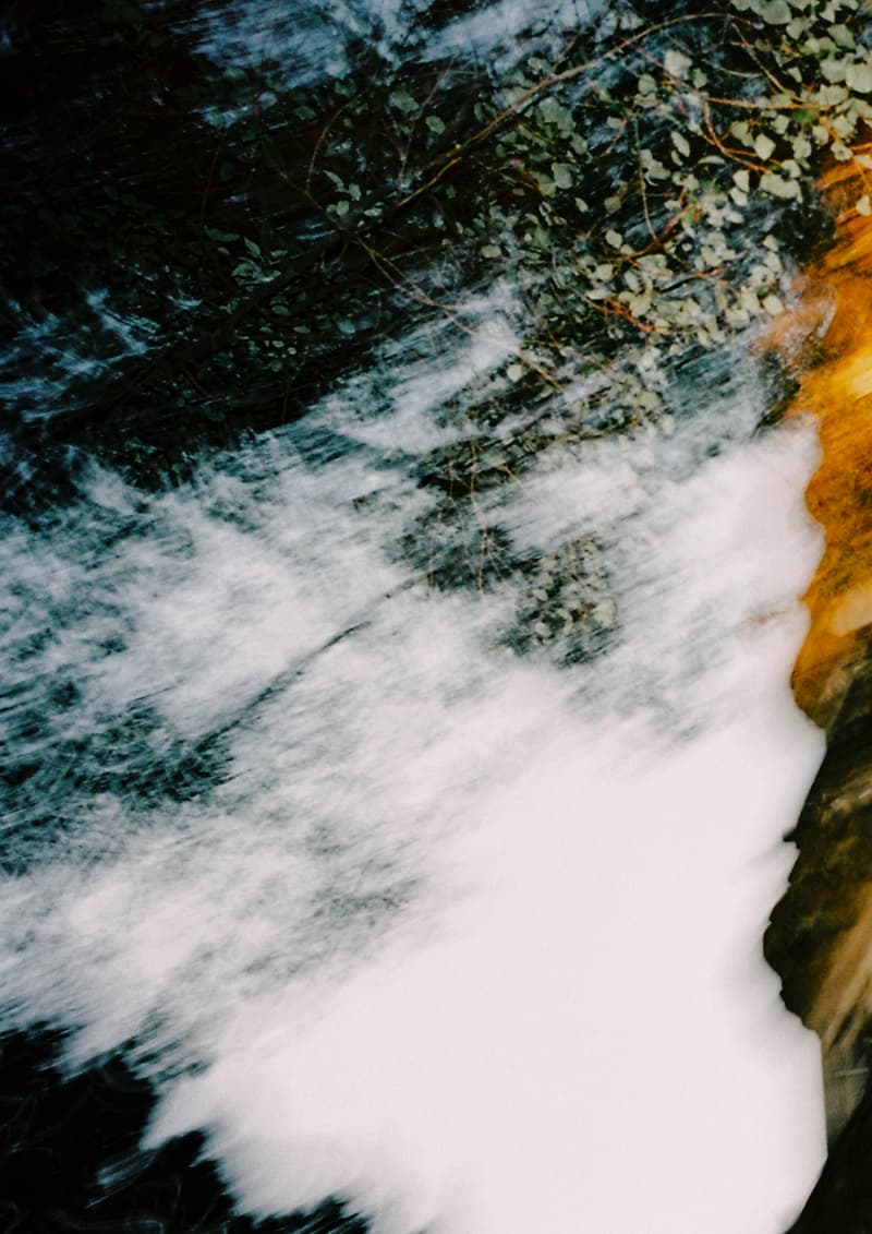 AVENUE & SON 携手艺术家 ZINAN LAM 推出虎年联名胶囊系列