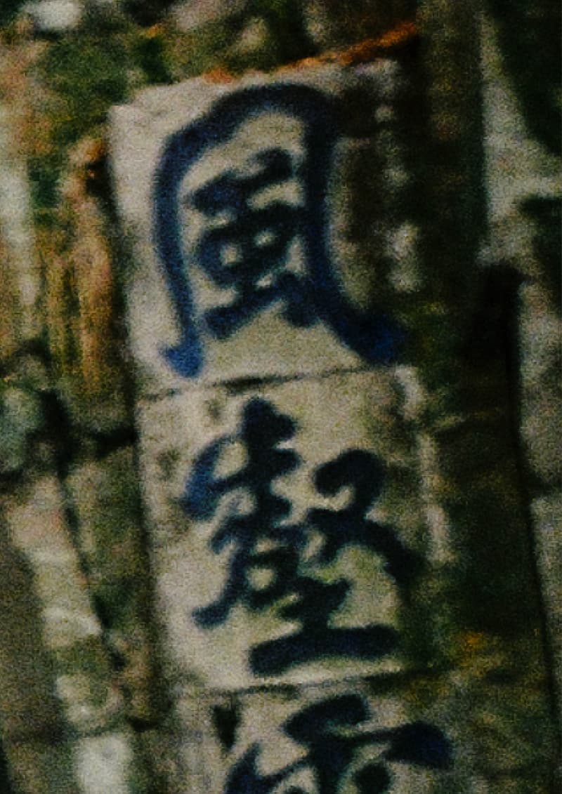 AVENUE & SON 携手艺术家 ZINAN LAM 推出虎年联名胶囊系列