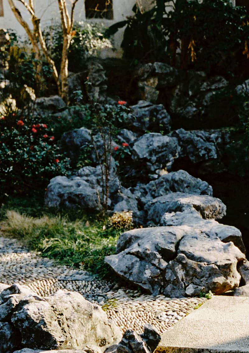 AVENUE & SON 携手艺术家 ZINAN LAM 推出虎年联名胶囊系列