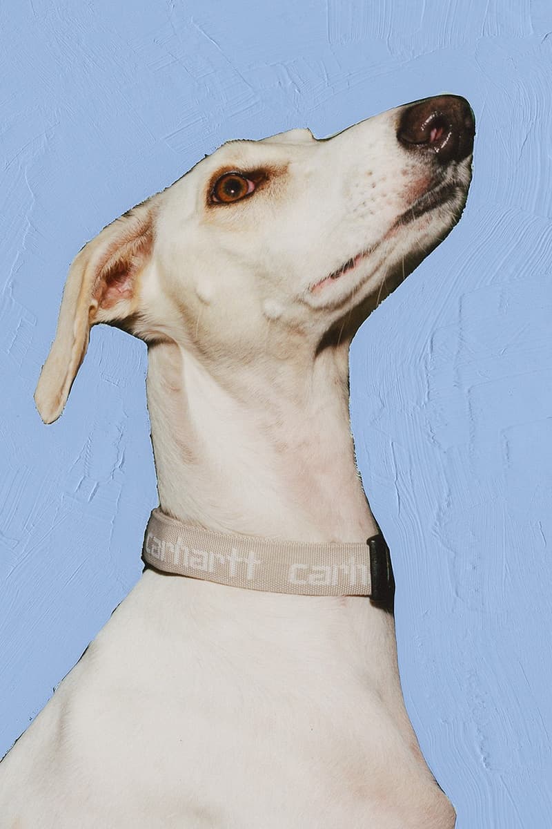 Carhartt WIP 正式發佈 2022 春季系列形象廣告大片