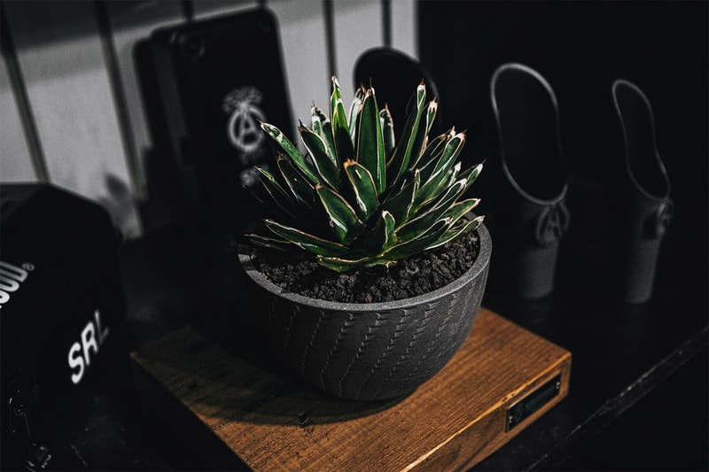 NEIGHBORHOOD SRL 新季產品正式登陸 HBX