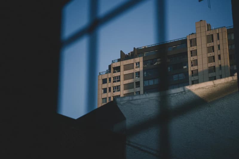 10 位上海创意人分享「窗外」照片及居家自我增值建议