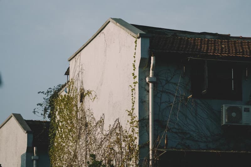 10 位上海创意人分享「窗外」照片及居家自我增值建议