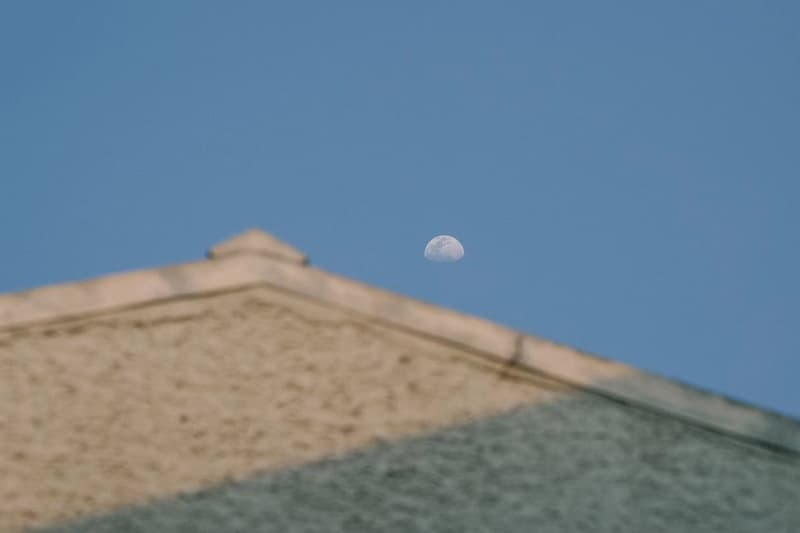 10 位上海创意人分享「窗外」照片及居家自我增值建议