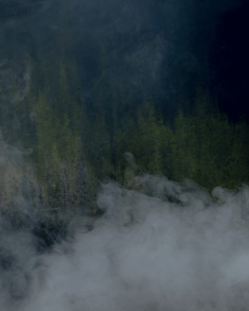 Carhartt WIP 2022 最新春夏系列「CITY WANDER」造型特辑正式发布