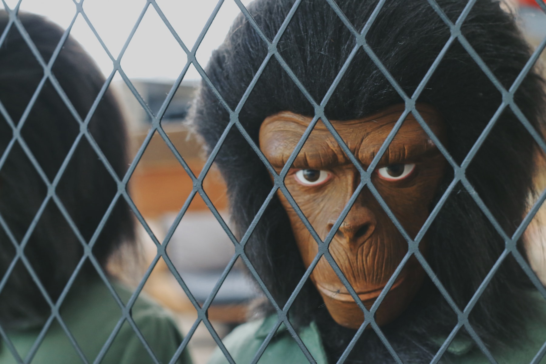 Studio Visits:李璐