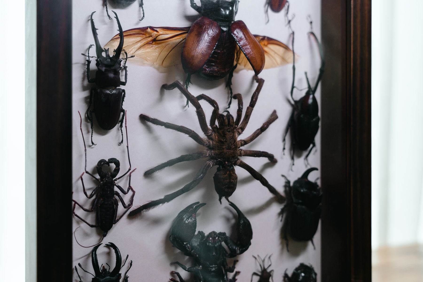 Studio Visits:李璐