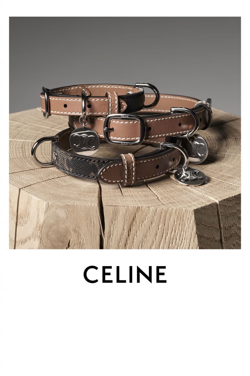 CELINE 发布全新 MAISON DOG 宠物系列
