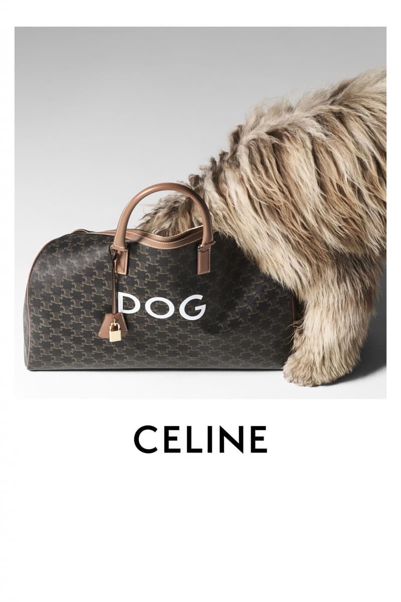 CELINE 发布全新 MAISON DOG 宠物系列