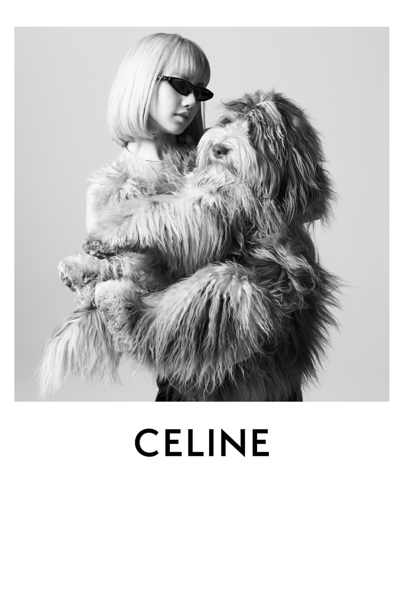 CELINE 发布全新 MAISON DOG 宠物系列
