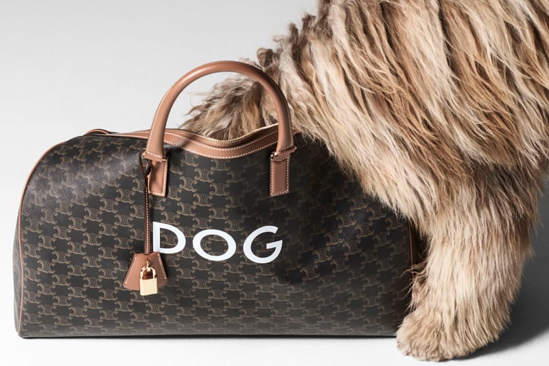 CELINE 发布全新 MAISON DOG 宠物系列