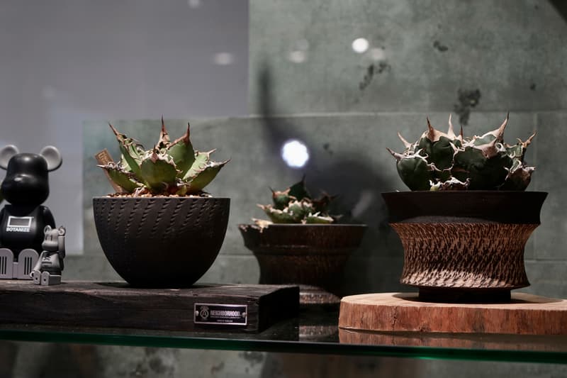 走进 STUDIOUS TOKYO x BOTANICAL LAB「绿魂祭」活动现场