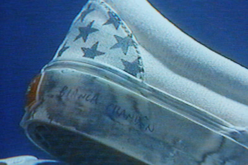 Vault by Vans 携手 Bianca Chandôn 推出联名系列