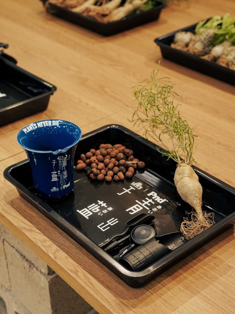 走进 Levi's SPACE 上海特别活动