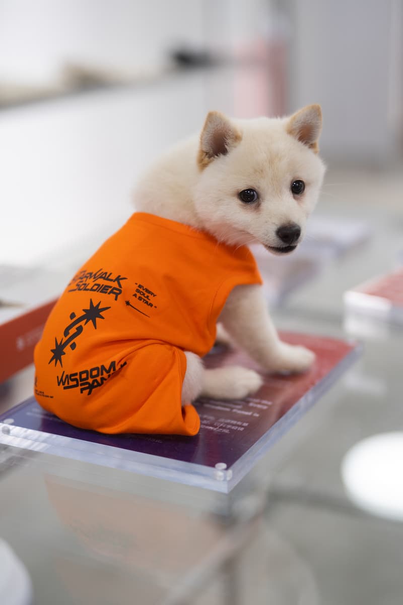 走进 Starwalk Soldier x Wisdom Panel 上海 POP-UP 快闪店