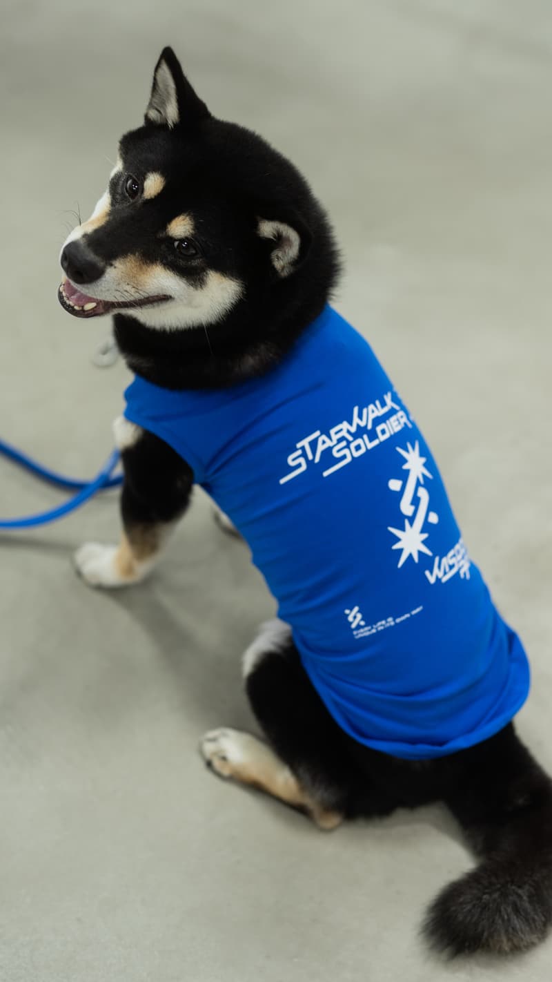 走进 Starwalk Soldier x Wisdom Panel 上海 POP-UP 快闪店