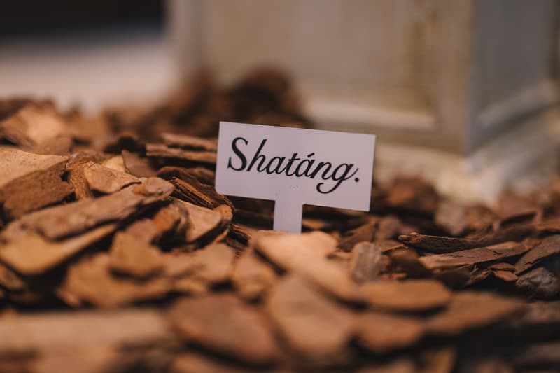 走进 Shatang Showroom 2023 春夏系列预览会