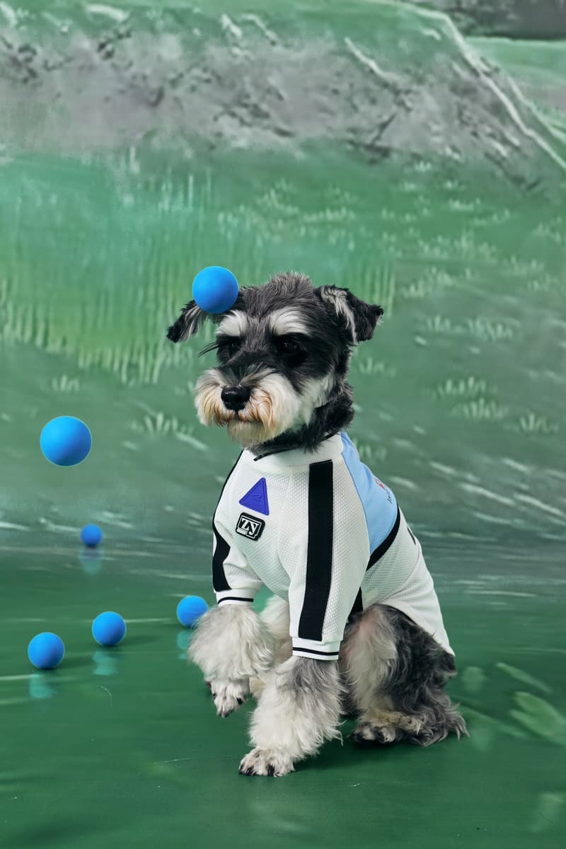 ARCH x LAZY EAZY 宠物联名系列发布