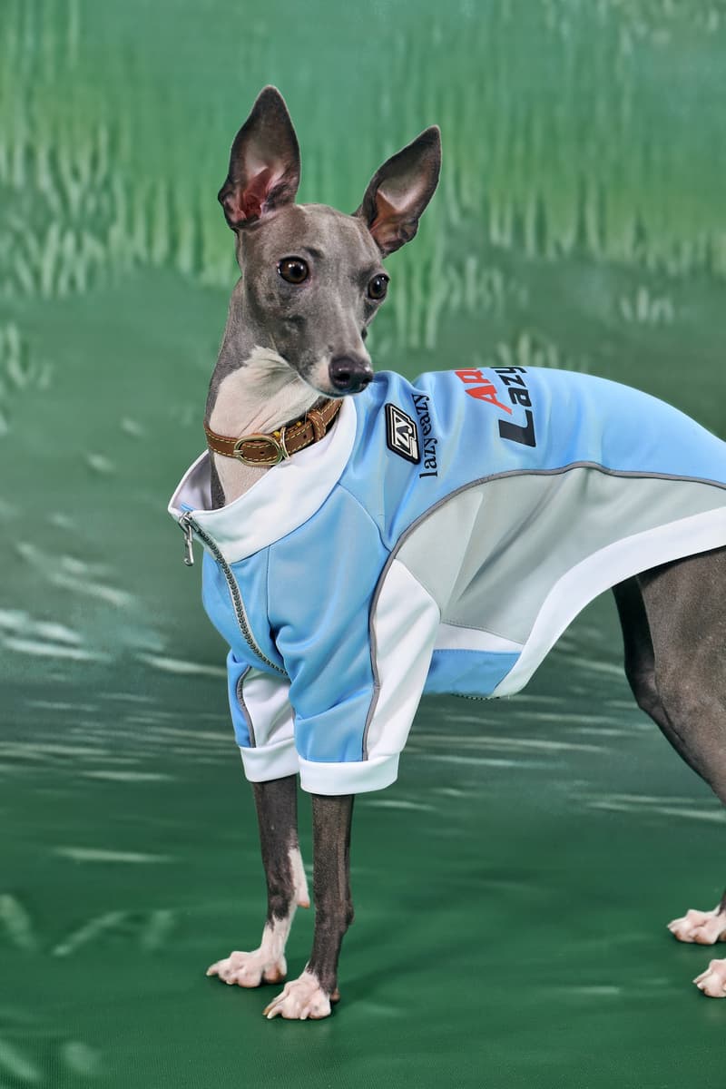 ARCH x LAZY EAZY 宠物联名系列发布