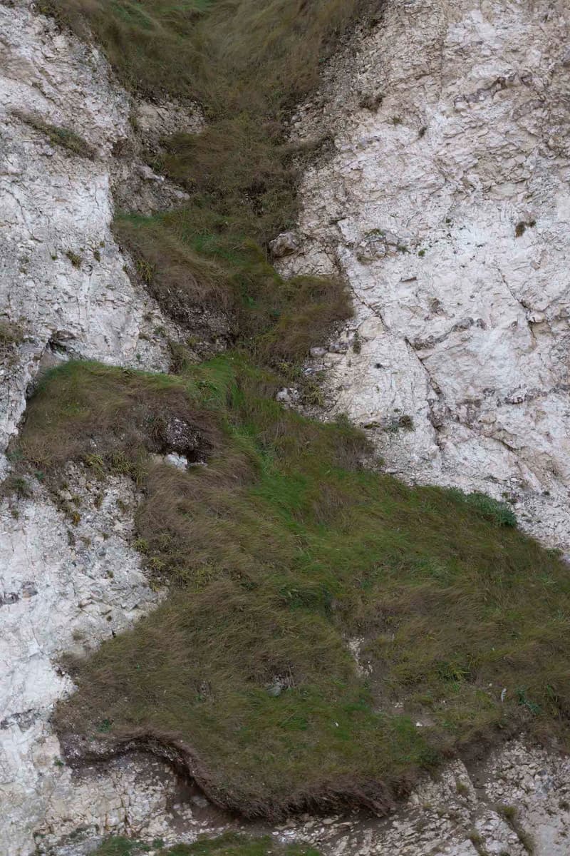 Danshan 携手 Pheagee 推出虚拟胶囊系列