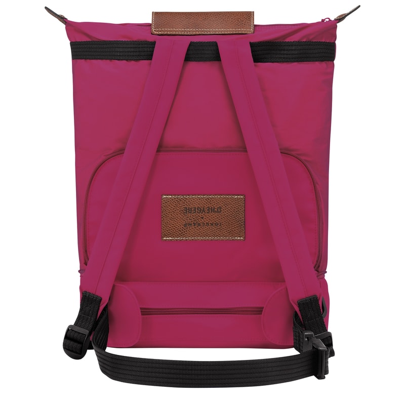 LONGCHAMP X D'HEYGERE 发布联名限量系列