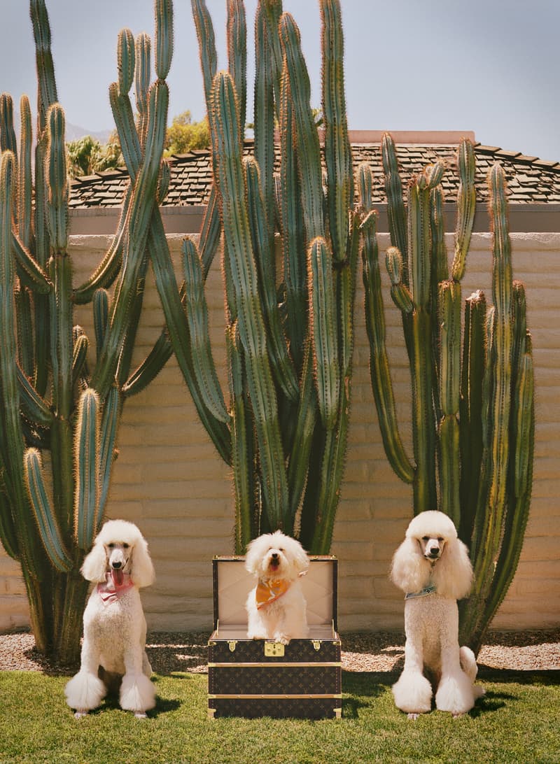 从宠物箱、工具箱到乒乓球台，LV 如何用创意诠释旅行精神？