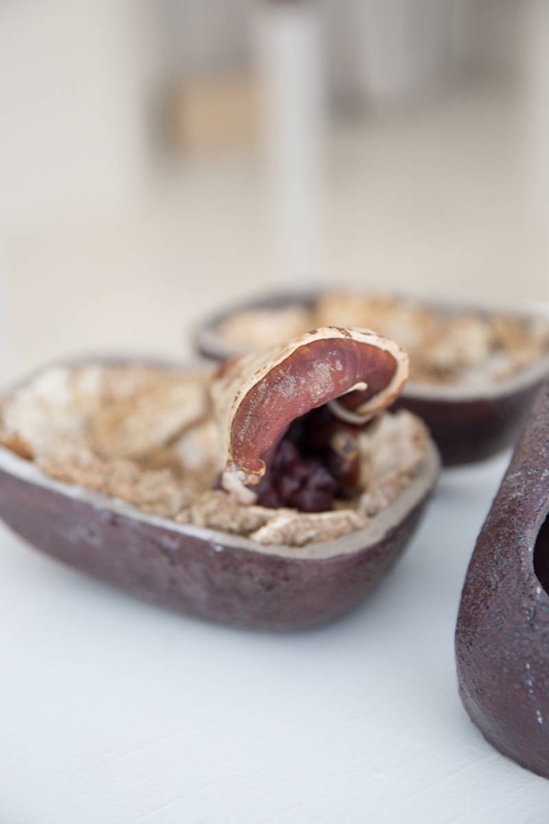 EDEN Power Corp 携手 MYCOAUDIO 推出 Mycelium Mushroom 扬声器