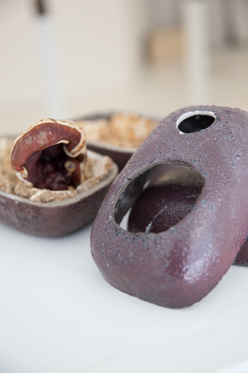 EDEN Power Corp 携手 MYCOAUDIO 推出 Mycelium Mushroom 扬声器